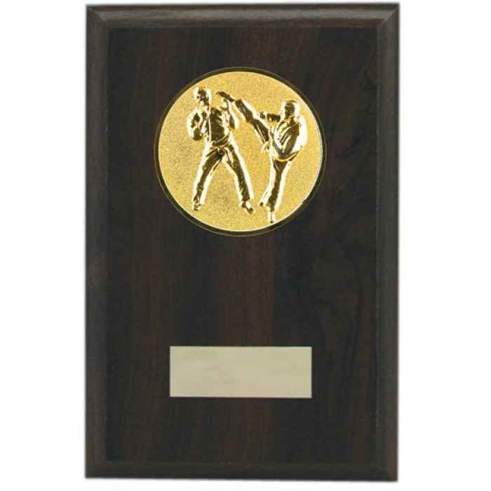 Budget wooden martial arts plaque 6'' - choice of sports centre 